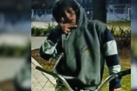 Benjamín Díaz, el nene que murió atropellado en la Panamericana. Benjamín Díaz, el nene que murió atropellado en la Panamericana.