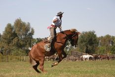Las destrezas criollas, inclusive las jineteadas, quieren ser declaradas deporte en Mendoza Foto: Mapio.net