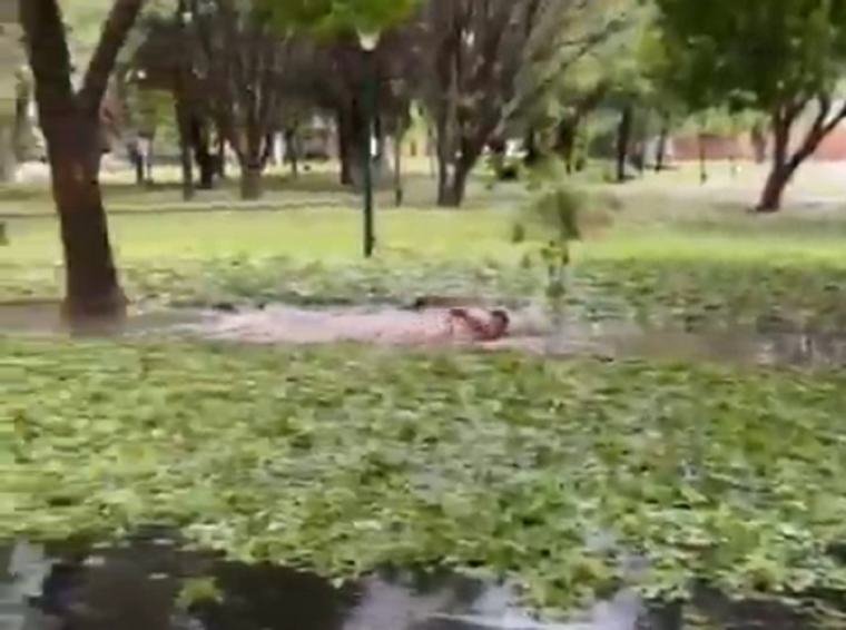 Un joven se tomó con humor las tormentas en San Rafael. Foto: Captura de video.
