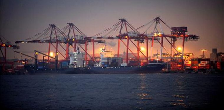 Se busca satisfacer la demanda de fruta orgánica durante todo el año. Foto: EFE