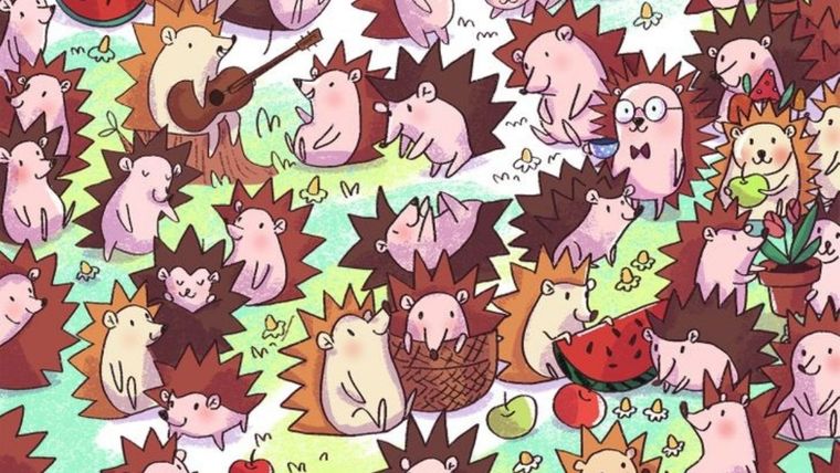 Acertijo visual, reto visual, cactus Pinterest Foto: Pinterest