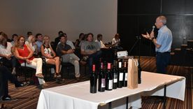 Plan Bonarda San Martín