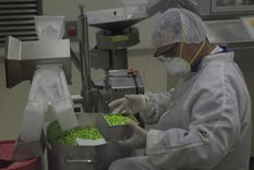 argentina desarrollo metodo rapido de diagnostico de ebola