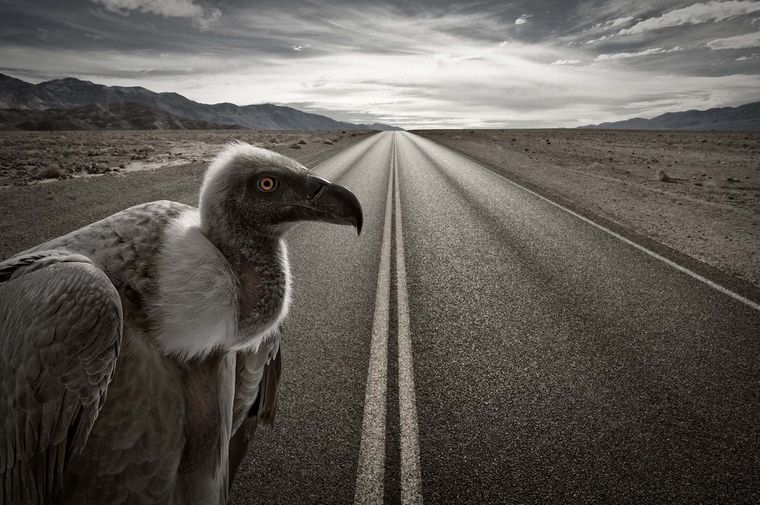 Foto: Publicada por gdefon.com