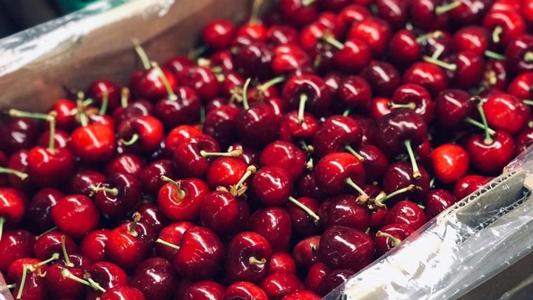 El ingreso de 300 toneladas de cereza desde Chile perjudica a la producción mendocina