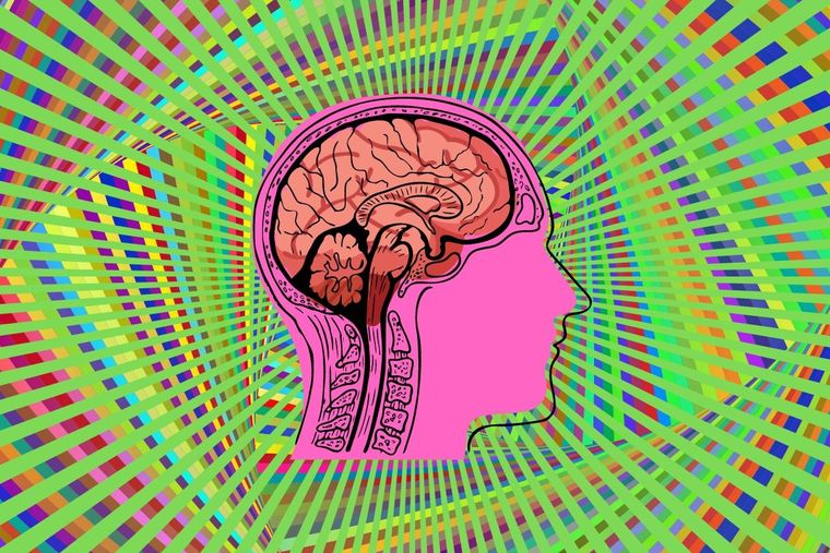 Test visual Test visual, Ilusión óptica Foto: Canva