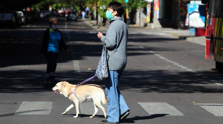 Lo más buscado acerca de mascotas. Foto: ALF PONCE / MDZ