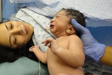 MDZol | Las modificaciones que habían sido propuestas por Pablo de la Torre, secretario de Desarrollo Social, buscaban eliminar los sesgos ideológicos Foto: MDZ