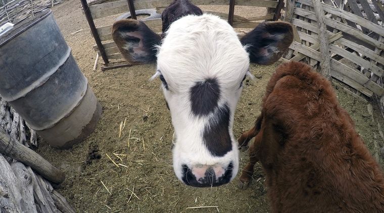 Foto: ALF PONCE MERCADO / MDZ