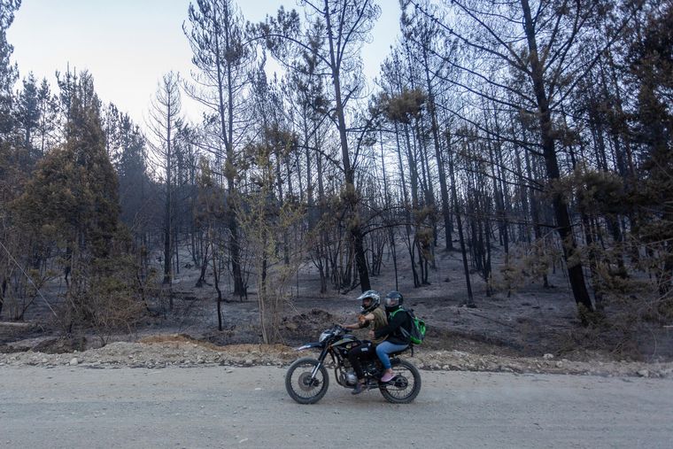 Los incendios en la Patagonia ya arrasaron con más de 4.000 hectáreas. Los incendios en la Patagonia ya arrasaron con más de 4.000 hectáreas.
