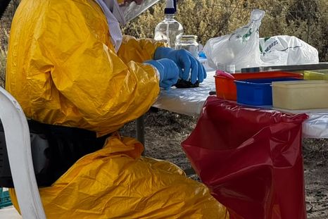 Las autoridades sanitarias recomendaron reforzar los cuidados en zonas rurales y semirrurales ante el aumento de la letalidad.