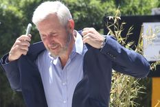 Rogelio Frigerio participó del IAEF Foto: NA