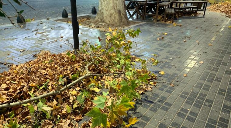 Foto: ALF PONCE MERCADO / MDZ