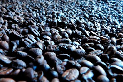 MDZol | El café helado es café enfriado con hielo. El café preparado en frío, por otro lado, es café preparado a una temperatura fría. Foto: Pixabay