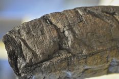 rayos x para descifrar los papiros sin desenrollarlos