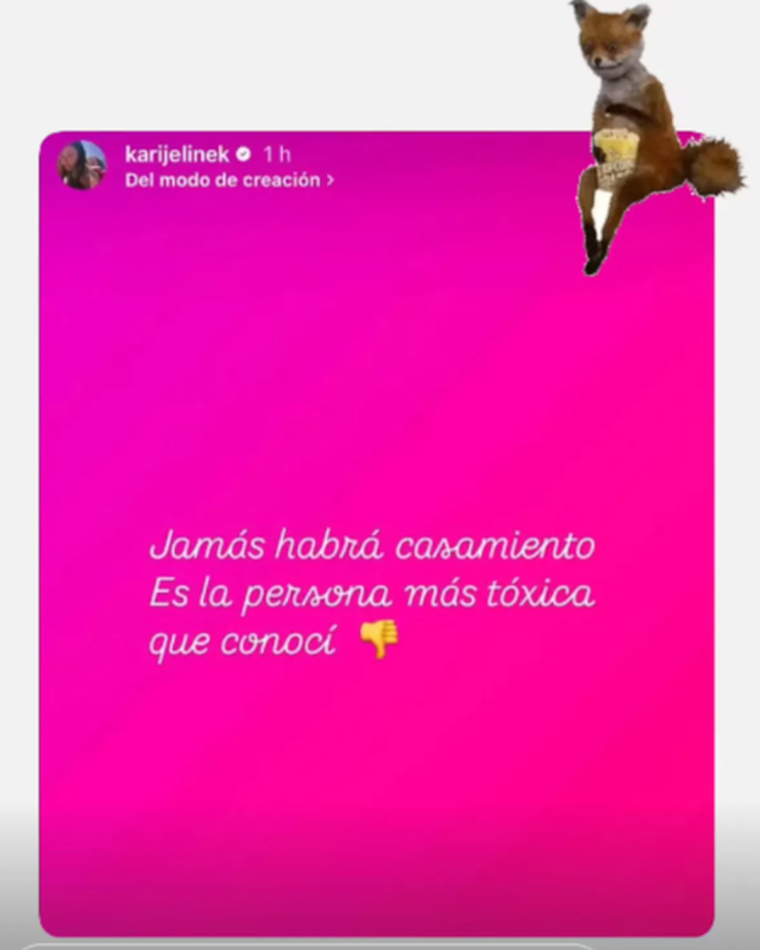 La historia que eliminó Karina Jelinek. Fuente: Instagram. La historia que eliminó Karina Jelinek. Fuente: Instagram.