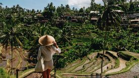 En las redes sociales, los turistas se quejan de la "diferencia entre las expectativas y la realidad" de Bali. ¿Cómo hemos llegado a esta situación? En las redes sociales, los turistas se quejan de la "diferencia entre las expectativas y la realidad" de Bali. ¿Cómo hemos llegado a esta situación?