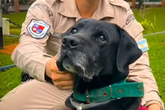 Rango recibió las felicitaciones de miles de argentinos Foto: Captura de pantalla/Prefectura Naval Argentina Rango recibió las felicitaciones de miles de argentinos Foto: Captura de pantalla/Prefectura Naval Argentina