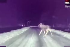 impactante video: asi funciona el piloto automatico de un tesla