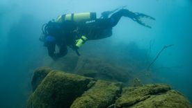 En Mendoza hay unos 500 buceadores. En Mendoza hay unos 500 buceadores.