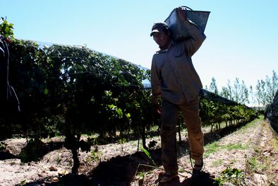 MDZol | Foto: Archivo / MDZ