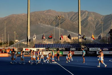 MDZol | leoncitas en chile