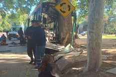 El colectivo quedó incrustado en un árbol. Foto: Ministerio de Seguridad El colectivo quedó incrustado en un árbol. Foto: Ministerio de Seguridad