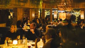 cada vez hay más opciones para no sudar arriba del arbolito eligiendo no cocinar. cada vez hay más opciones para no sudar arriba del arbolito eligiendo no cocinar.