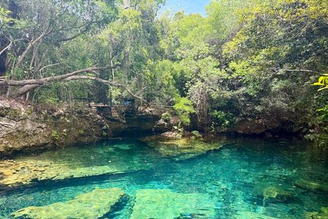 Reserva Ecológica Ojos Indígenas, un paraíso dentro de Punta Cana. Reserva Ecológica Ojos Indígenas, un paraíso dentro de Punta Cana.