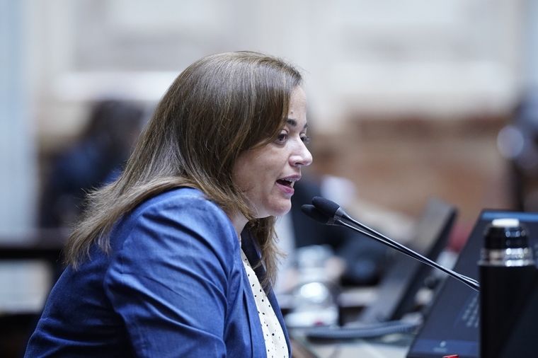 Moreau insinuó que Pettovello podría apartarse de su cargo Foto: Prensa Diputados