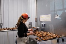 Planta de procesamiento cárnico en Davison, Míchigan, el 1 de mayo de 2020.