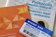 dato oficial: mas de 5.000 interrupciones legales de embarazos en buenos aires