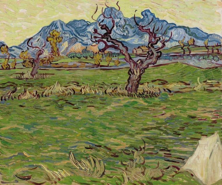 Champs prês des Alpilles de Vincent Van Gogh