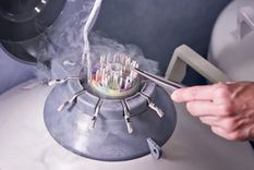 Según las normas de los Países Bajos, un donante no debe engendrar más de 25 niños en 12 familias. Foto: GETTY IMAGES