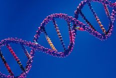 un hijo puede parecerse al padre... y a los antiguos amantes de su madre