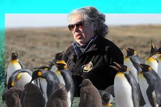 La lucha de Durán Gafo permitió que los pingüinos encontraran un espacio seguro y establecieran una colonia única en Tierra del Fuego.