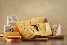 El queso: uno de los alimentos más amados en el mundo. Foto: Gentileza Quesería Santa Rosa