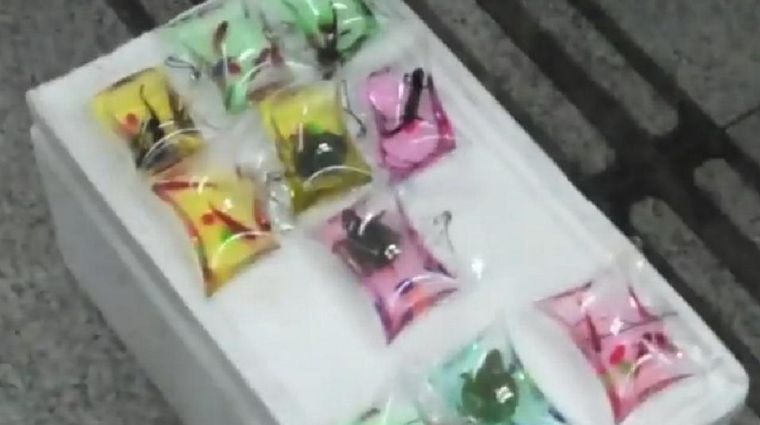 Foto: Captura de video