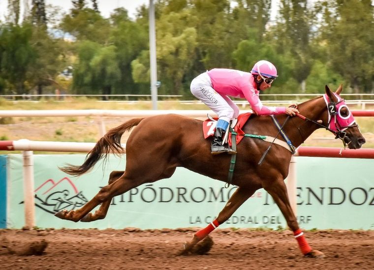 El Hipódromo de Mendoza es la sede del Gran Clásico Vendimia y el Clásico Patrono Santiago