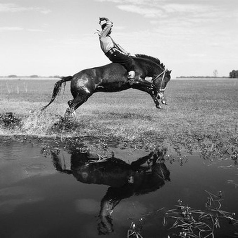 “La doma” (detalle)