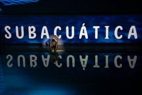 En una pileta de natación, entre el olor a cloro y el bullicio de las clases, cuatro personajes se mantienen a flote. En una pileta de natación, entre el olor a cloro y el bullicio de las clases, cuatro personajes se mantienen a flote.