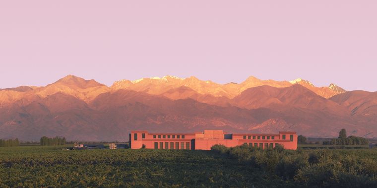 Rutini Wines. Foto: Gentileza