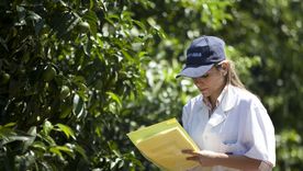 Senasa exige a los productores a actualizar sus datos en el Renspa Senasa exige a los productores a actualizar sus datos en el Renspa