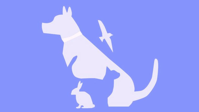 Test de personalidad