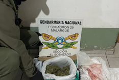 La droga secuestrada en una encomienda enviada desde Mendoza hacia Neuquén.&nbsp;