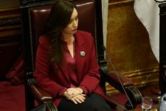 senadores renunciaron al aumento de dietas: quienes son y a que partidos pertenecen