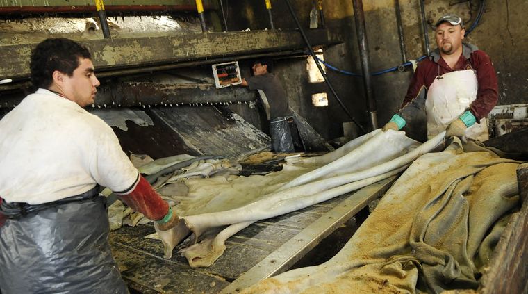 Foto: Nacho Gaffuri / MDZ