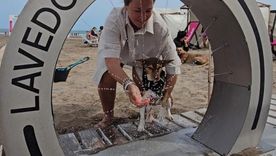 La temporada de verano en la Costa Atlántica sumó una novedad que marca tendencia dentro del turismo pet friendly. La temporada de verano en la Costa Atlántica sumó una novedad que marca tendencia dentro del turismo pet friendly.