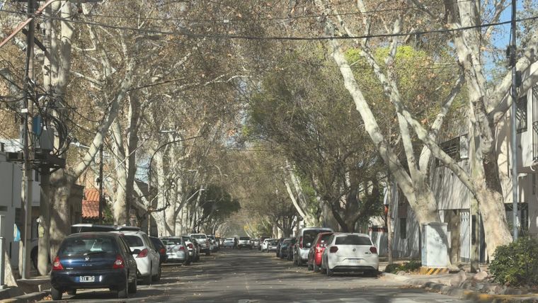 El viento Zonda ya se siente en el Gran Mendoza