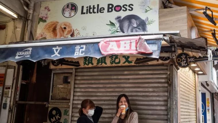 El reciente brote de covid-19 en Hong Kong ha sido relacionado con un empleado de una tienda de la mascotas llamada Little Boss en la zona comercial Causeway Bay. Foto: GETTY IMAGES